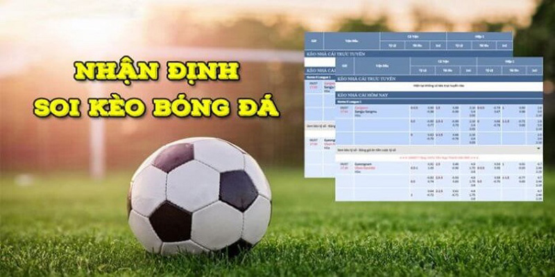 Chuyên trang Nhận định bóng đá của nhandinhbongda chuẩn xác